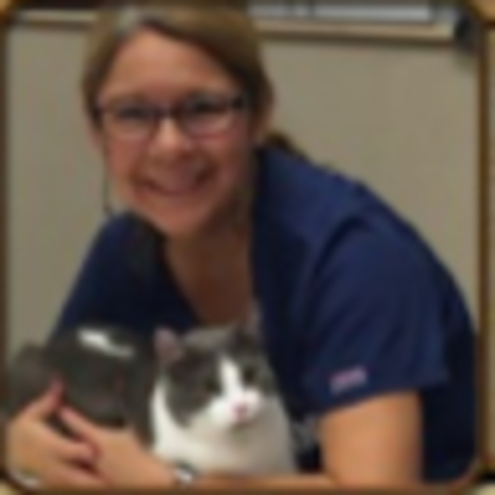 Meet your Posher, Purrjamm